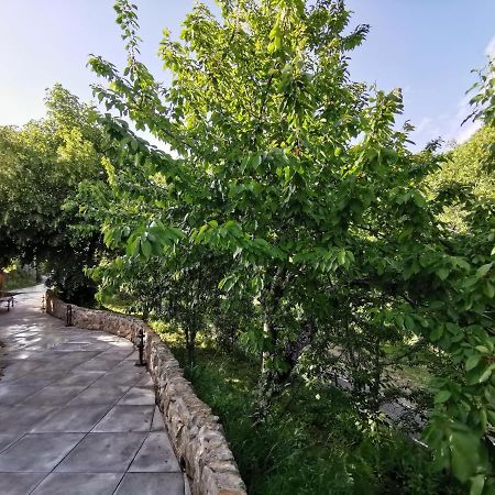 Villa Marel Trefacio Eksteriør bilde